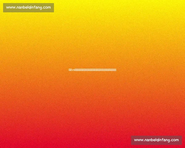 德国vs德国背后的制度对抗与国家认同之争历史脉络与现实影响解读