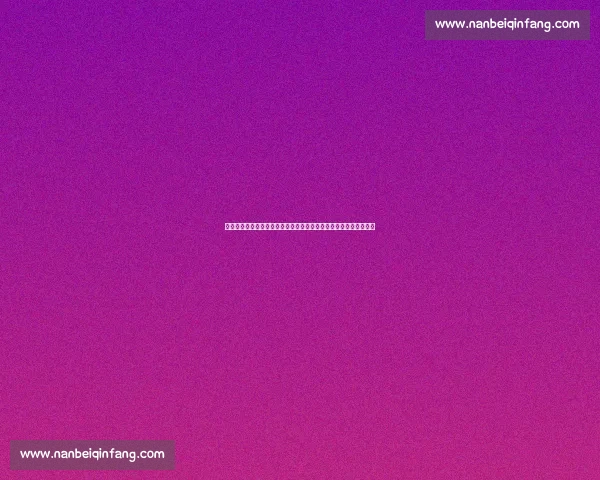 波维特金对决史蒂文内巅峰力量与经验的重量级较量前瞻全面解析赛